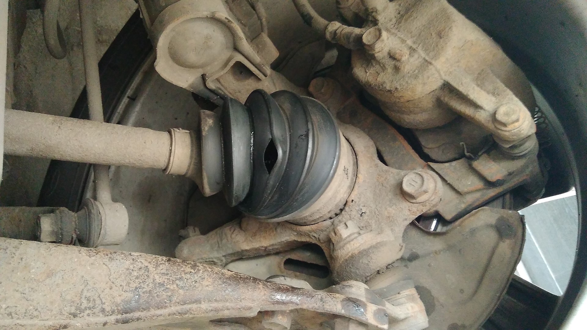 порванный пыльник